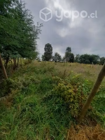 Gran terreno en venta en Los cristales, Longavi - Imagen 3
