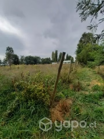 Gran terreno en venta en Los cristales, Longavi - Imagen 4