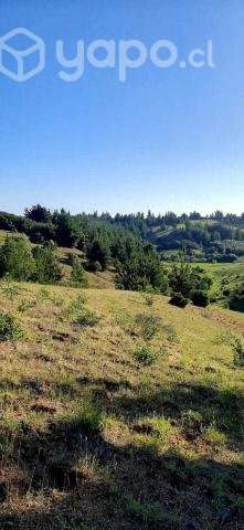 Vendo hermosa parcela 5000m2 en Yumbel - Imagen 3