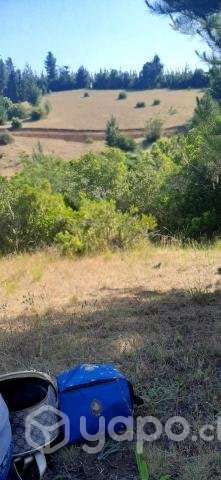 Vendo hermosa parcela 5000m2 en Yumbel - Imagen 4