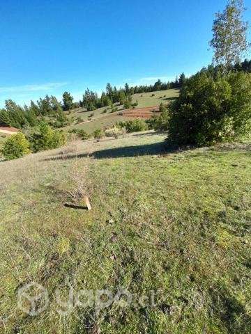 Vendo hermosa parcela 5000m2 en Yumbel - Imagen 10