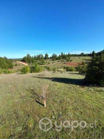Vendo hermosa parcela 5000m2 en Yumbel - Imagen 8