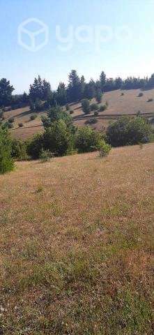 Vendo hermosa parcela 5000m2 en Yumbel - Imagen 5
