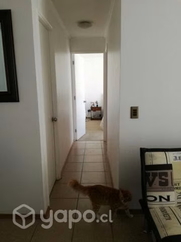 Se vende departamento en los pinos - Imagen 4