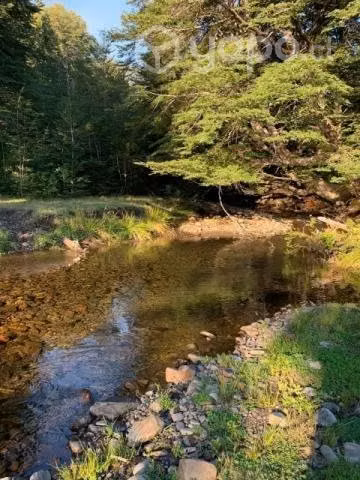 Se vende parcelas en chiloe