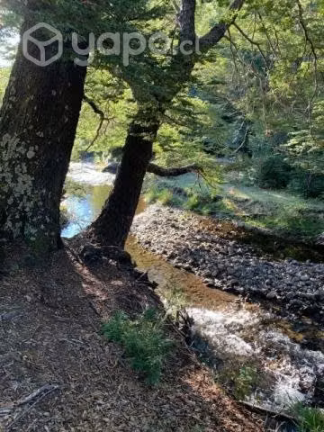 Se vende parcelas en chiloe