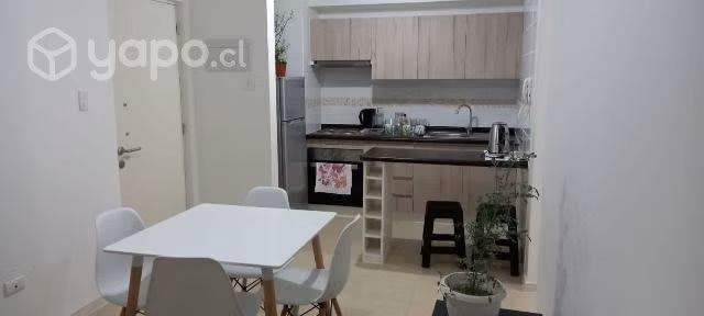 Arriendo marzo a diciembre