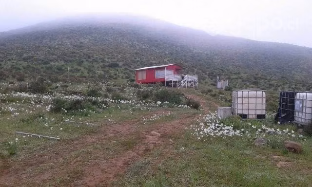 Parcela 5000 m2 con cabaña La Serena - Imagen 2