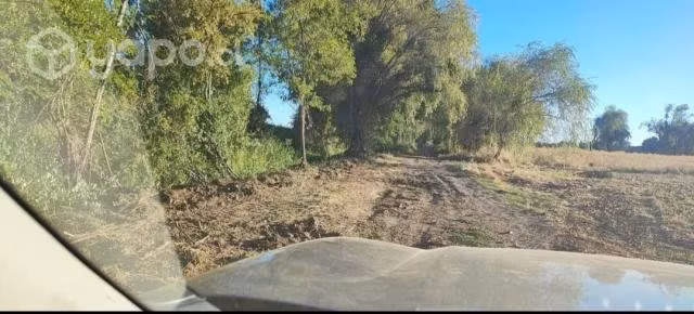 La parcela - Imagen 3