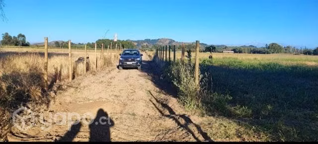 La parcela - Imagen 5