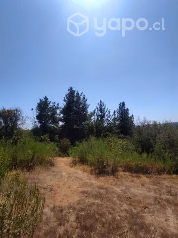 Se vende predio de 3.51 Ha a 15 min de Hualqui - Imagen 8
