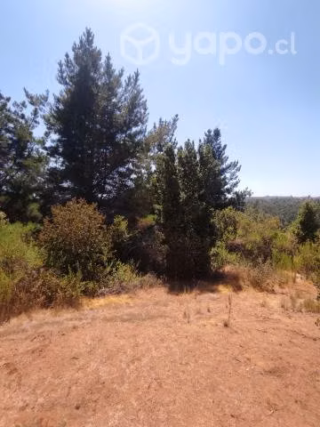 Se vende predio de 3.51 Ha a 15 min de Hualqui - Imagen 10