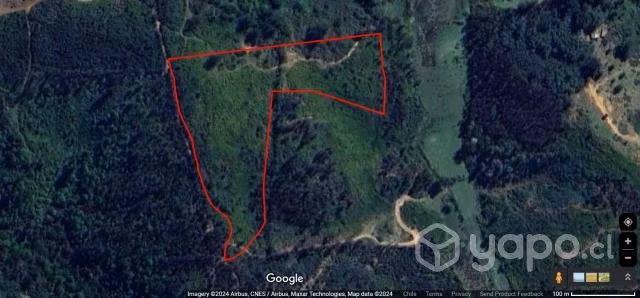 Se vende predio de 3.51 Ha a 15 min de Hualqui - Imagen 17