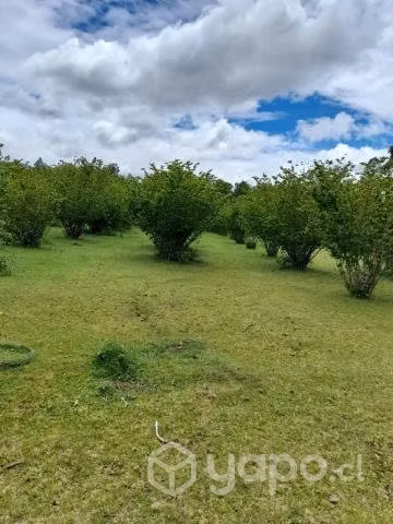 Parcelas