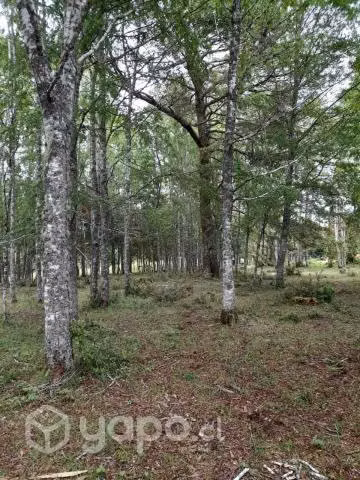 Parcelas