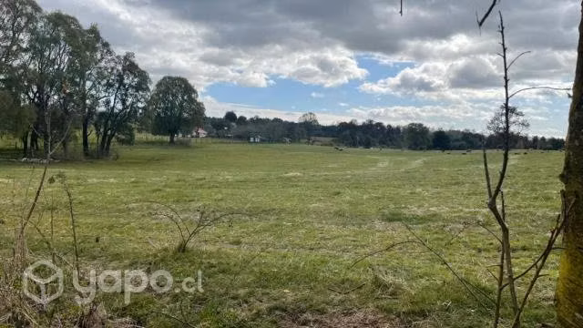 Parcelas sector paraguay chico/los muermos - Imagen 3