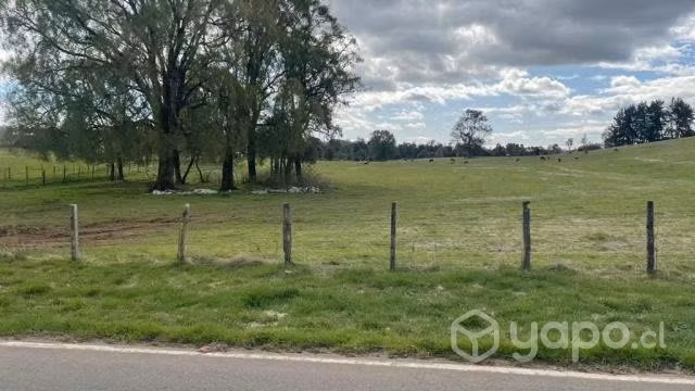 Parcelas sector paraguay chico/los muermos - Imagen 7