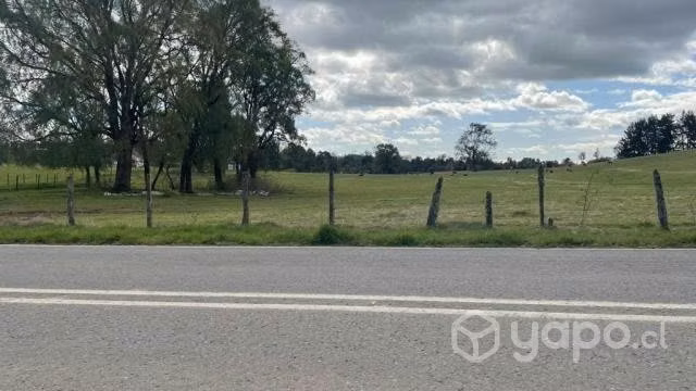 Parcelas sector paraguay chico/los muermos - Imagen 4