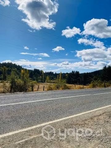 Vendo hermoso terreno plantado pino y eucalipto