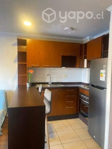 Arriendo dpto, dueño santiago centro