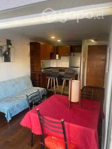 Arriendo dpto, dueño santiago centro