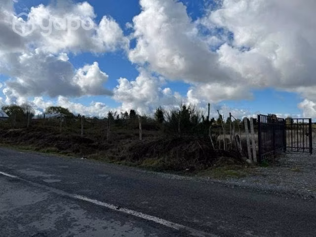 Sitio en alerce … - Imagen 2