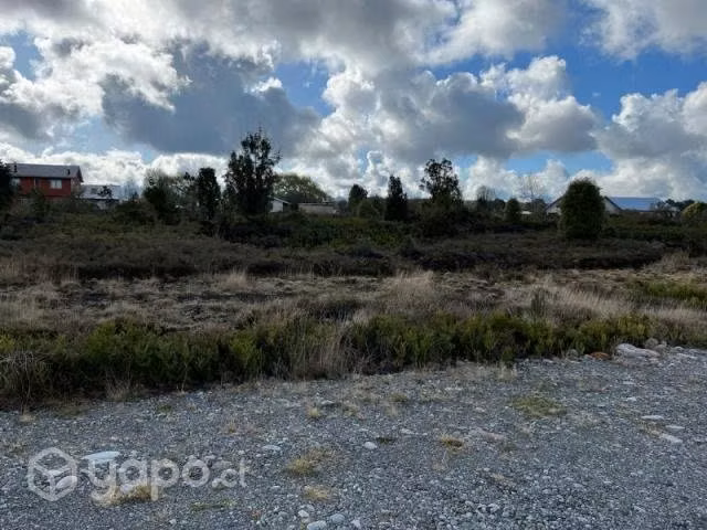 Sitio en alerce … - Imagen 4