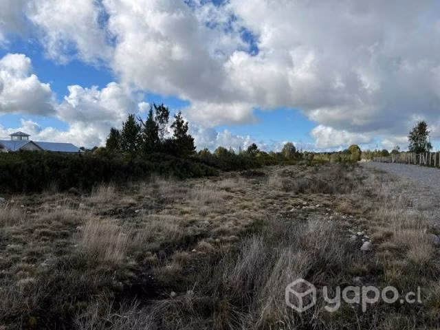 Sitio en alerce … - Imagen 8