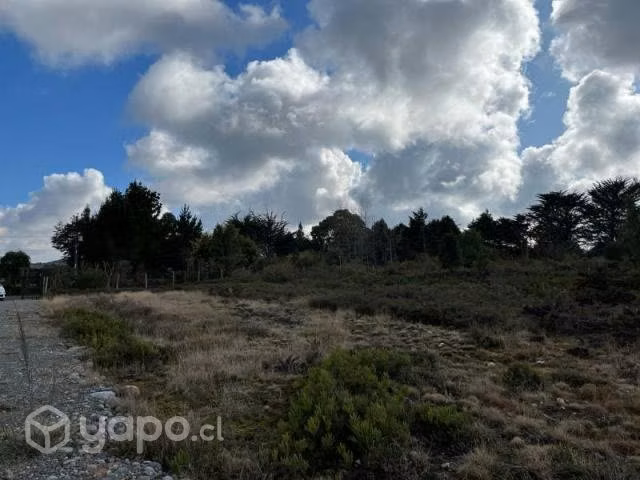 Sitio en alerce … - Imagen 10