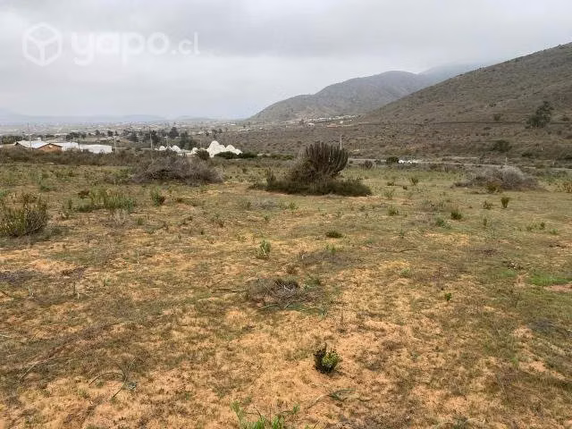 Vendo terreno - tongoycillo - 5000mt2 - Imagen 2