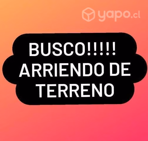 Necesito arrendar terreno pan de azúcar