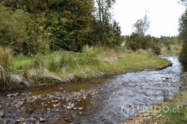 Terreno en Chepu, sector Las Huachas - Imagen 4