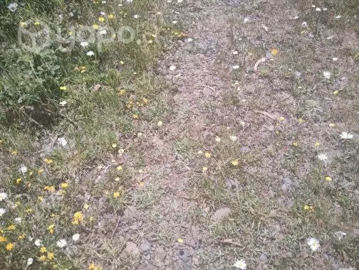 Venta de terreno - Imagen 2