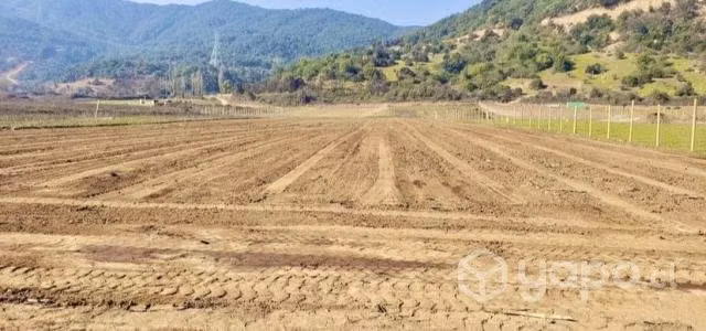 Se vende Parcela de 5000 m2 a 35 km de Curicó
