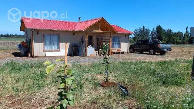 Parcela con casa en pemuco