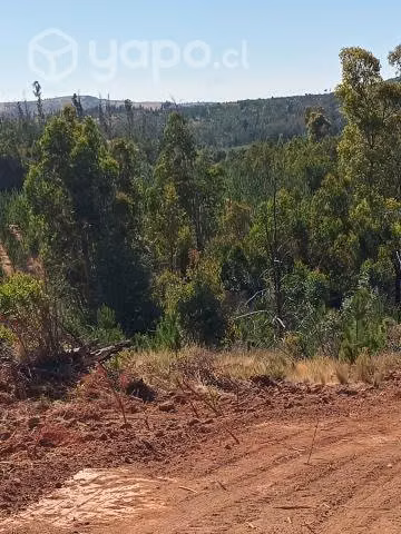 Se vende una hectárea