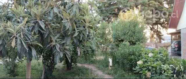 Vendo terreno industrial - Imagen 4