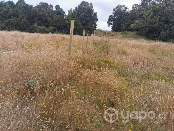 Parcela 5000m2, condominio Campomar, Inicio Ruta 7