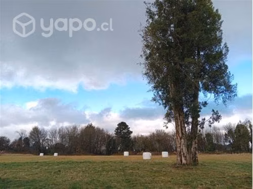 Parcela ruta 505 - km7 …