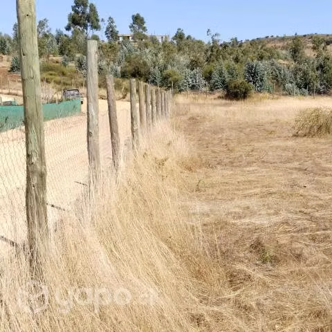 Casa parcela 1/2 hectarea, rol propio