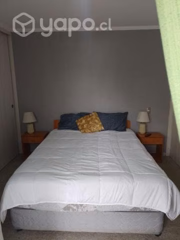 Arriendo depto amoblado