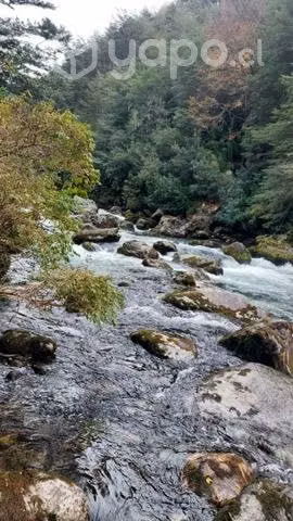 Parcela Puesco (Curarrehue) - Imagen 2