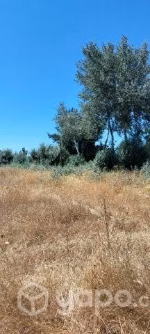 Venta de terrenos de 3500mt2