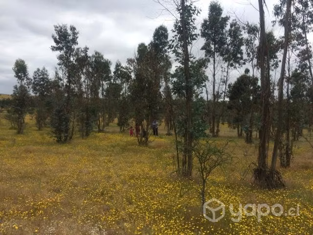 Vendo parcela de agrado