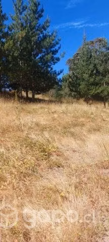 Parcela en Bucalemu con rol propio