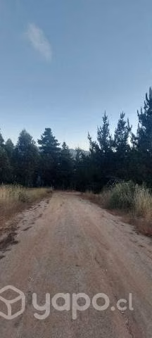 Parcela en Bucalemu con rol propio - Imagen 4