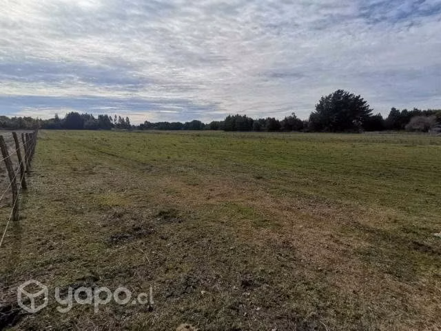 Terreno de 5.000 m2 en Renaico