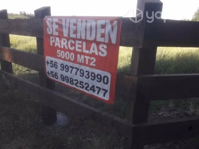Terreno de 5.000 m2 en Renaico