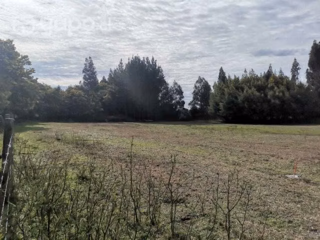 Terreno de 5.000 m2 en Renaico