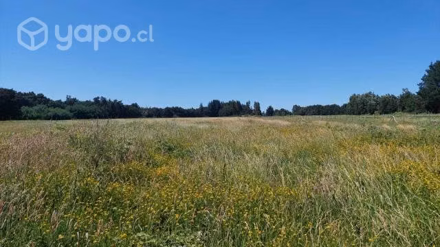 Terreno de 5.000 m2 en Renaico